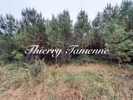 vente terrain à saint-pé-saint-simon (47170)  210 000 €