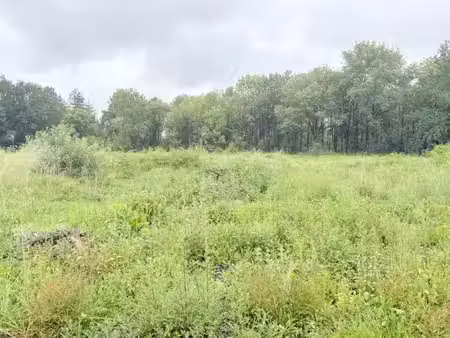 vente terrain 1270 m² à villematier (31340)  88 000 €