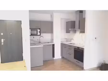location appartement 2 pièces 49.71 m² à colmar (68000)  831 €