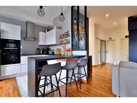 appartement de caractère rénové  jardin privatif 120 m² et 3 parkings