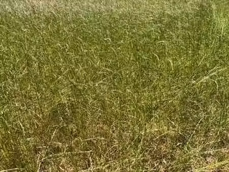 vente terrain à dirinon (29460) : à vendre / dirinon
