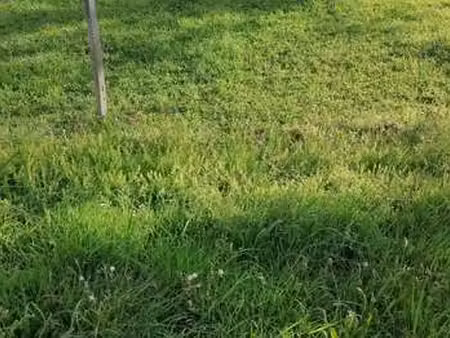 vente terrain à sainte-hélène (56700) : à vendre / sainte-hélène
