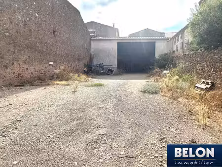 achat local commercial cessenon sur orb 34460