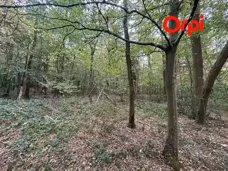 vente terrain 7260 m² à le noyer-en-ouche (27410)  19 000 €