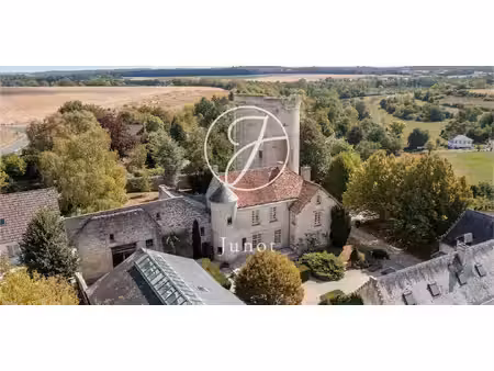 château droizy (02)