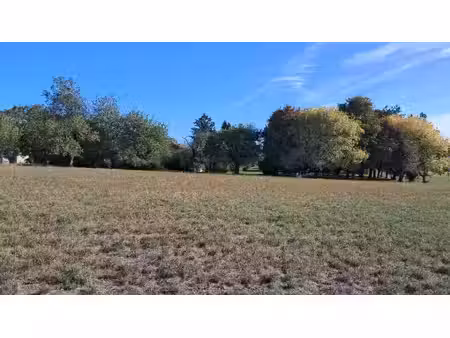 vente terrain 931 m² mortiers (17500)