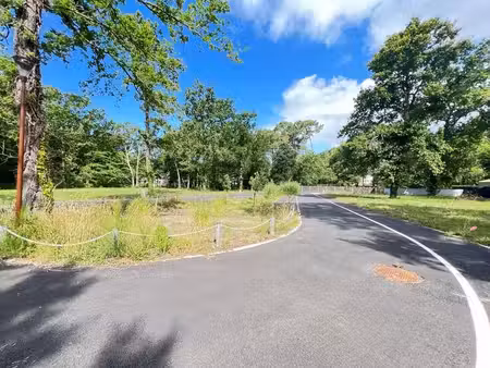vente terrain 1012 m² la tremblade (17390)