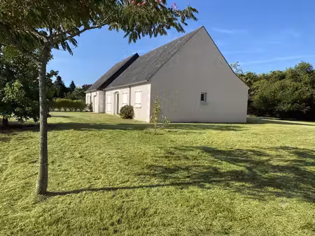 à vendre - propriété évolutive avec deux habitations à civray-de-touraine