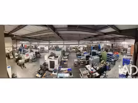 vente commerce 1125 m² joué-lès-tours (37300)