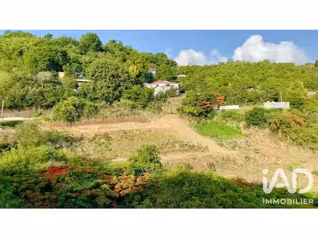 terrain à vieux-habitants (97119)