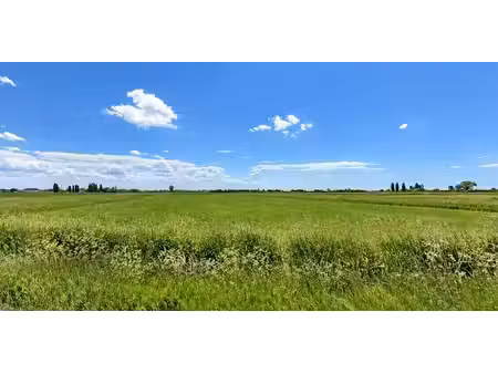 terrain agricole à vendre à steenkerke pour € 80.000