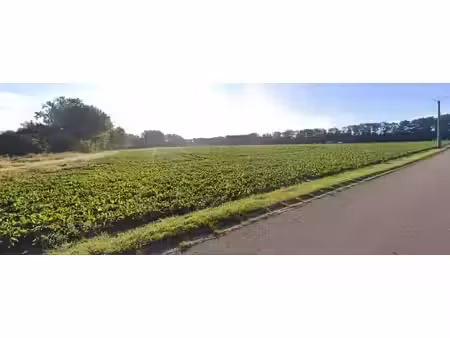 2 parcelles de terrains à corswarem.