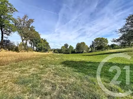 terrain à vendre - 6178 m2 - beaux - 43 - auvergne