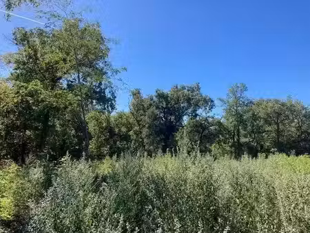 vente terrain 938 m² à liposthey (40410)  55 000 €
