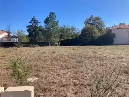 vente terrain 690 m² à pissos (40410)  72 000 €