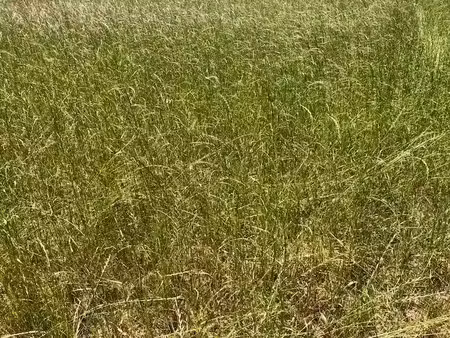 vente terrain 638 m² à dirinon (29460)  86 000 €