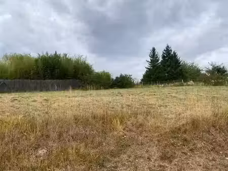 vente terrain 997 m² à creuzier-le-vieux (03300)  95 000 €