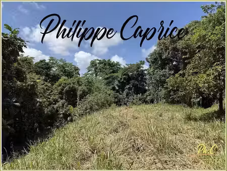 vente terrain 1015 m² à marin (97290)  120 000 €
