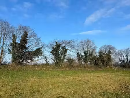 vente terrain 873 m² à landerneau (29800)  133 000 €