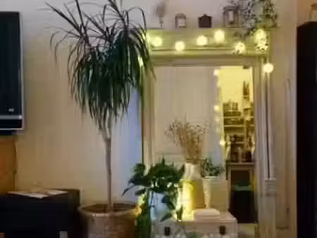 location appartement 2 pièces 45 m² à lyon 3ème (69003)  817 €