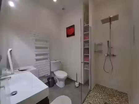 location appartement 2 pièces 29 m² à lyon 3ème (69003)  838 €