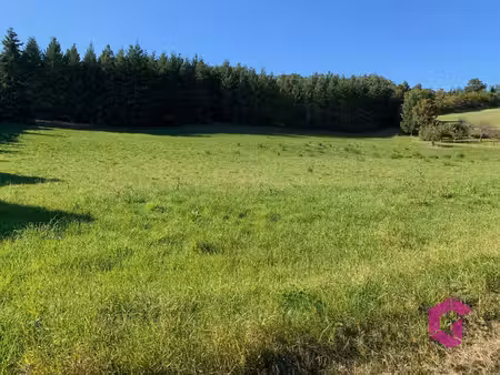 terrain de 3531 m2