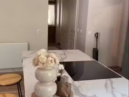 apartement meublé + terasse