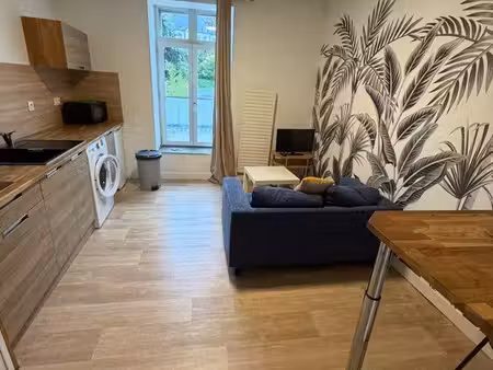 t1 bis meublé et rénové