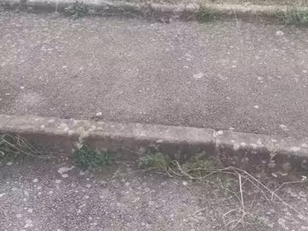 emplacement pour distributeur