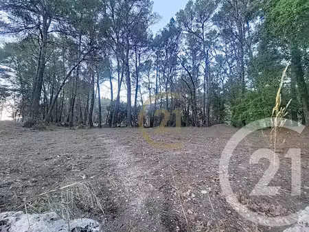terrain à vendre - 7000 m2 - callas - 83 - provence-alpes-cote-d-azur