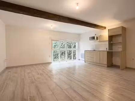 appartement 1 pièce 47 m²