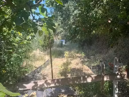 terrain pour jardin