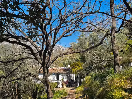 maison 2 pièces avec citronneraie sur environ 1 5 hectare – colline de borrigo  menton
