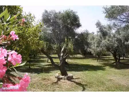 particulier vend terrain constructible en grèce à 5 mn de la mer
