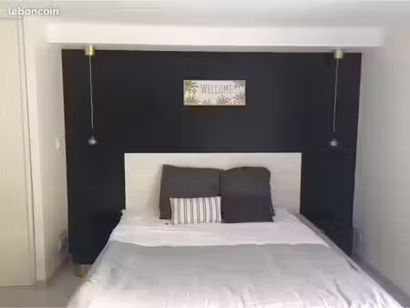 loue studio meublé au calme proximité tcl 55 et c6