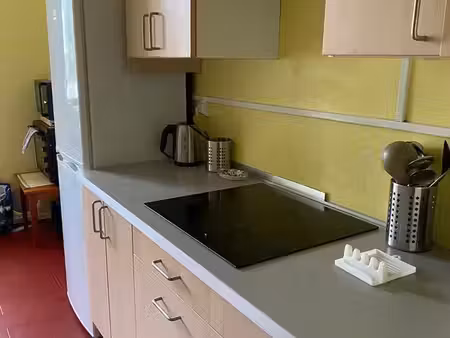 location appartement t3 à oullins