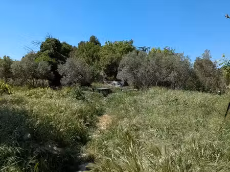 loue terrain agricole