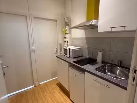 beau t3 2 chambres lyon centre