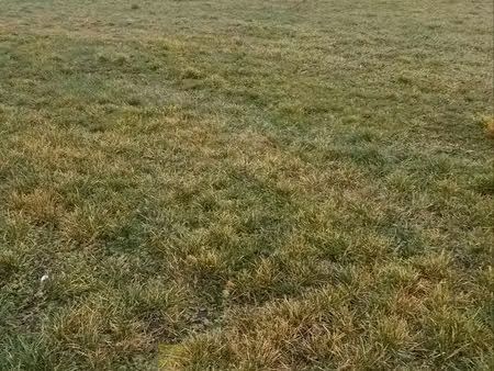 terrain à bâtir