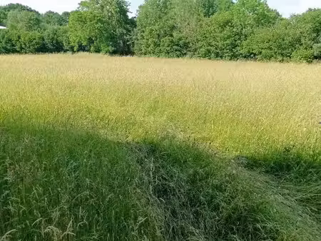 terrain constructible zone ui