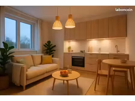 studio 1 pièce 26 m²