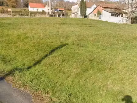 terrain constructible