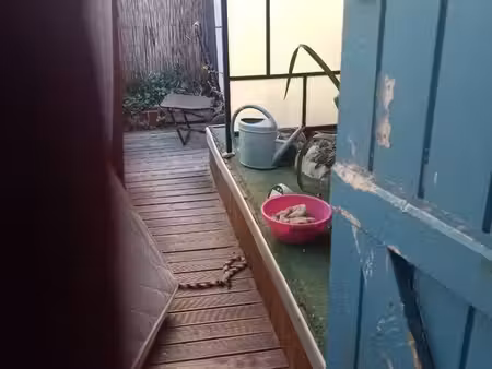 appartement libre