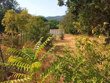 terrain de loisirs