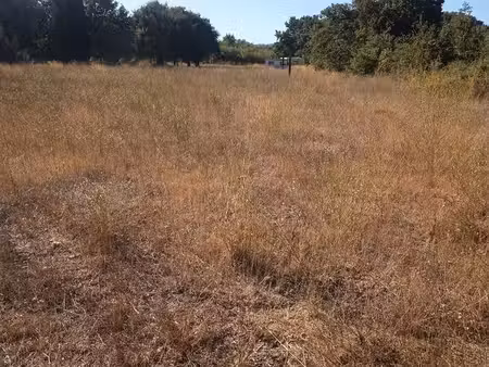 terrain agricole 6 530 m² – irrigation – 2 accès – corneilla-la-rivière