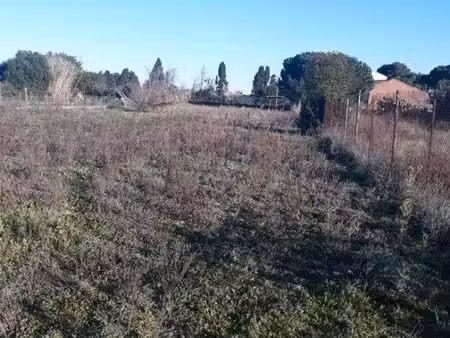 terrain agricole
