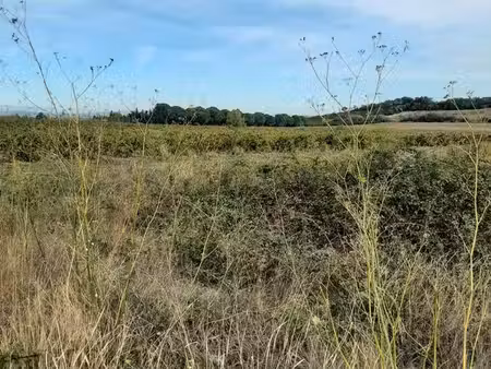 terrain agricole