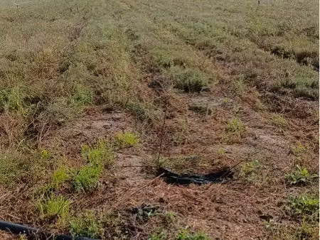 terrain agricole