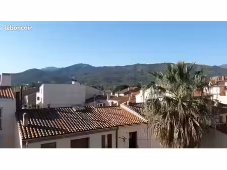 argelès sur mer appartement de 94 m2 avec vue sur les albères  grand garage et parking