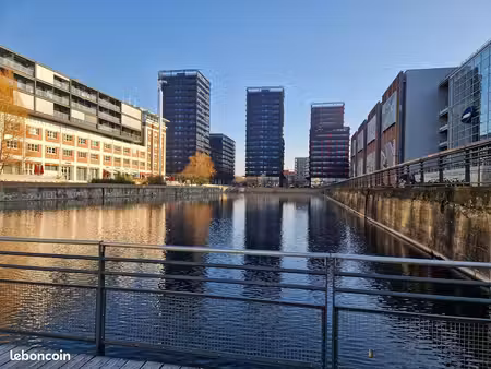 t2 45 5 m² + loggia 12 m² – dpe b – black swans – presqu'île malraux
